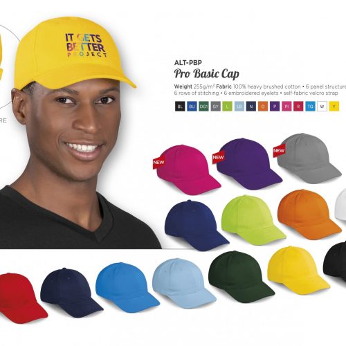 PRO BASIC  PANEL CAP
