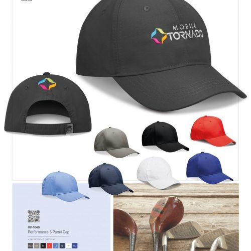 PERFORMANCE 6 PANEL CAP